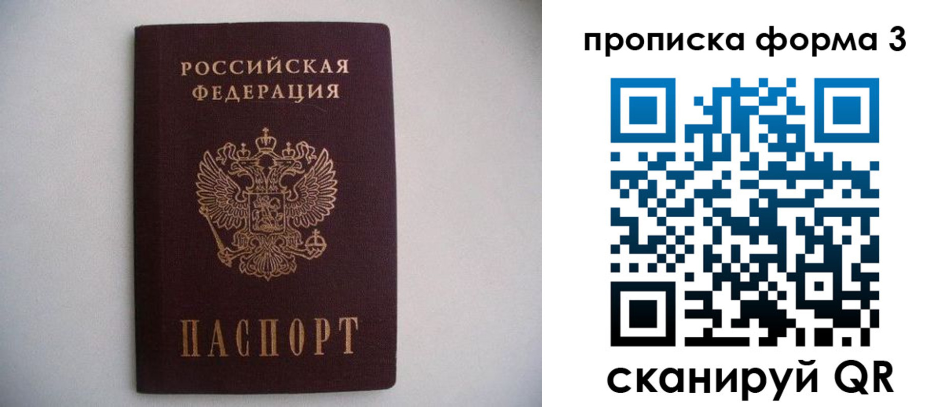 прописка в Данкове